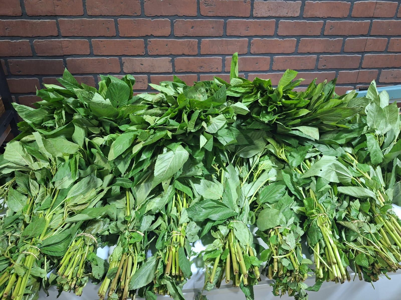 Bundles of fresh leafy greens laid out on the produce table against the brick wall at JNS Food Market.